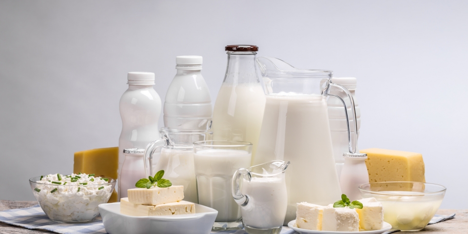 importing dairy products into us