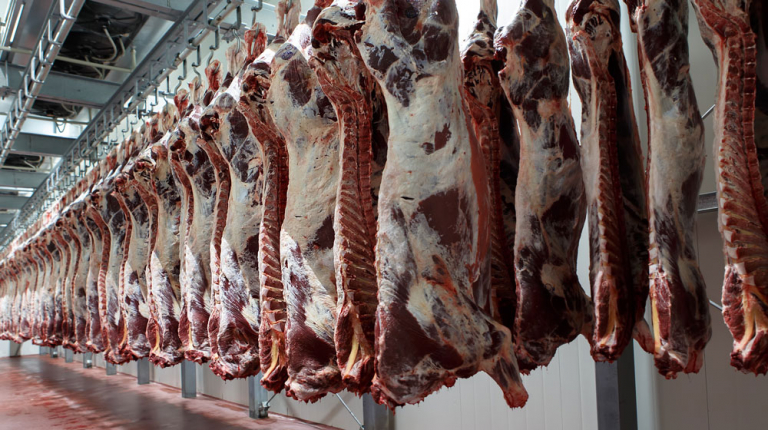 China Launches Safeguard Investigation into Imported Beef